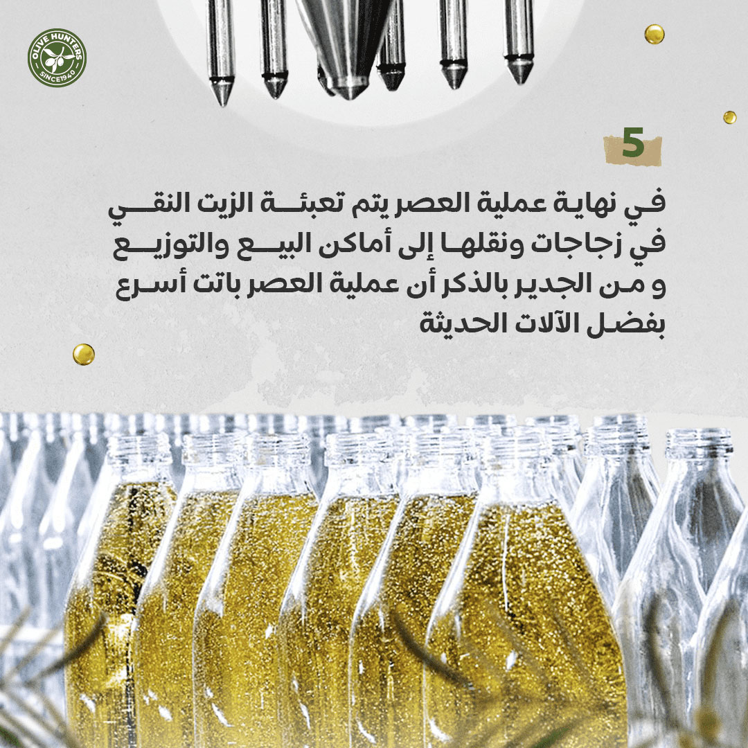 مراحل عصر زيت الزيتون 2
